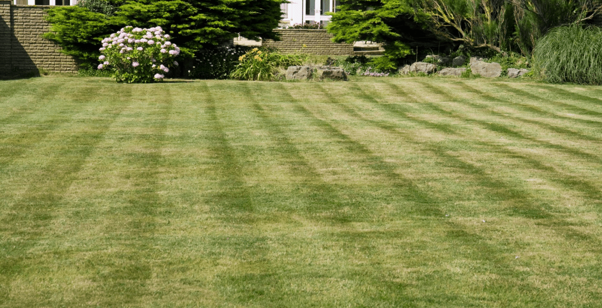 Tree Leaf Landscaping